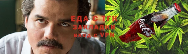 индика Бородино