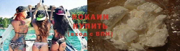 индика Бородино