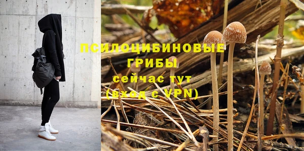 индика Бородино