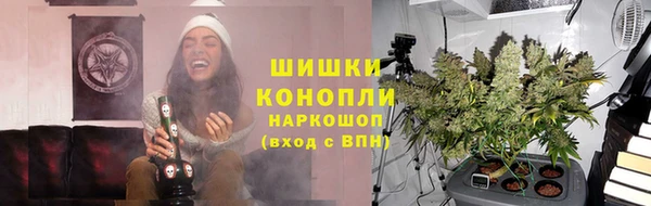 индика Бородино