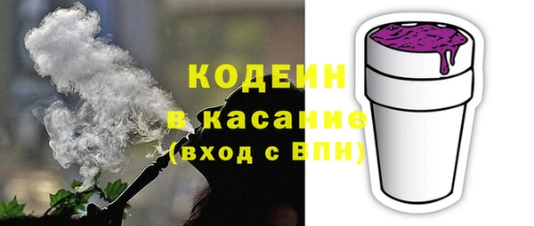 индика Бородино