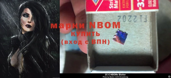 индика Бородино
