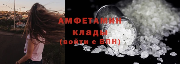 индика Бородино