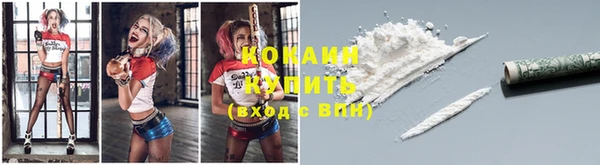 индика Бородино