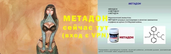 индика Бородино