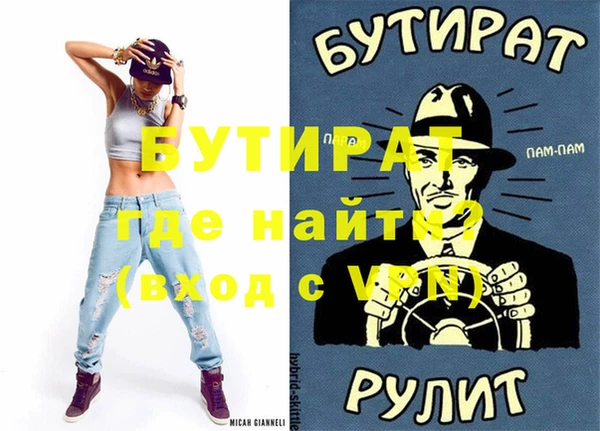 индика Бородино