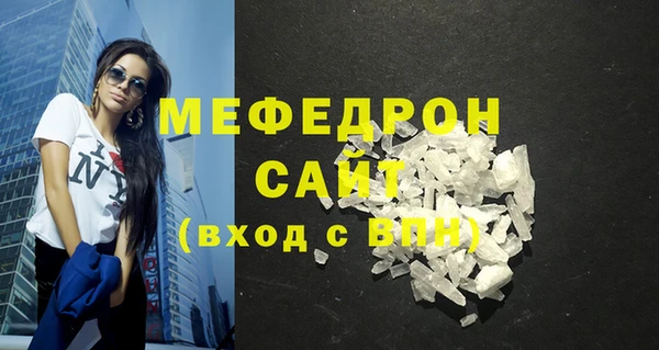 индика Бородино