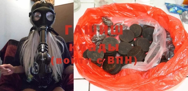 индика Бородино