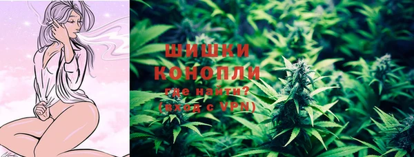 индика Бородино