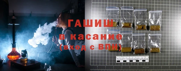 индика Бородино