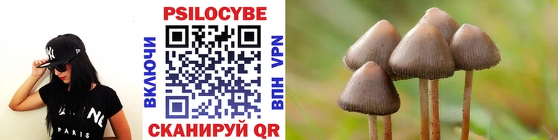 Псилоцибиновые грибы мицелий  даркнет формула  Люберцы 